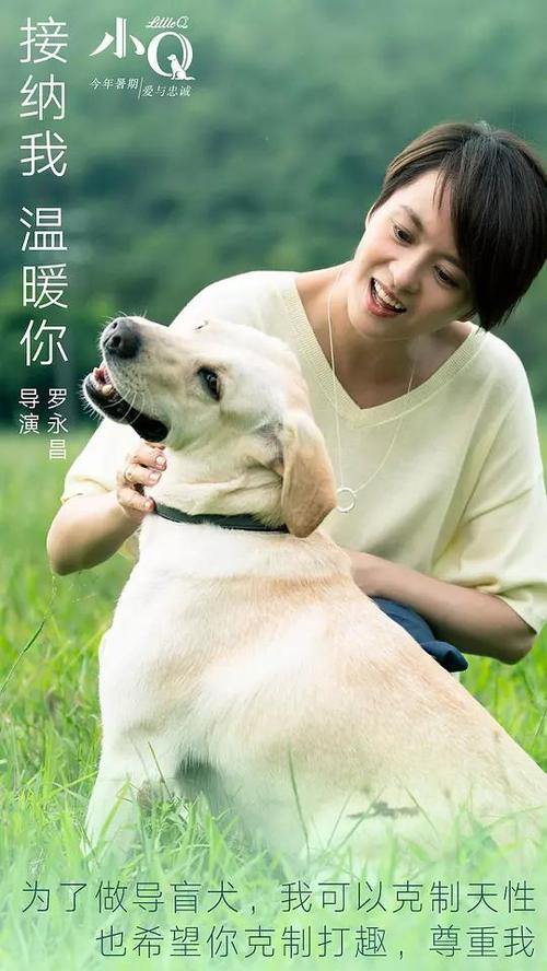 赫瑞瓦特大学物理学文凭证书